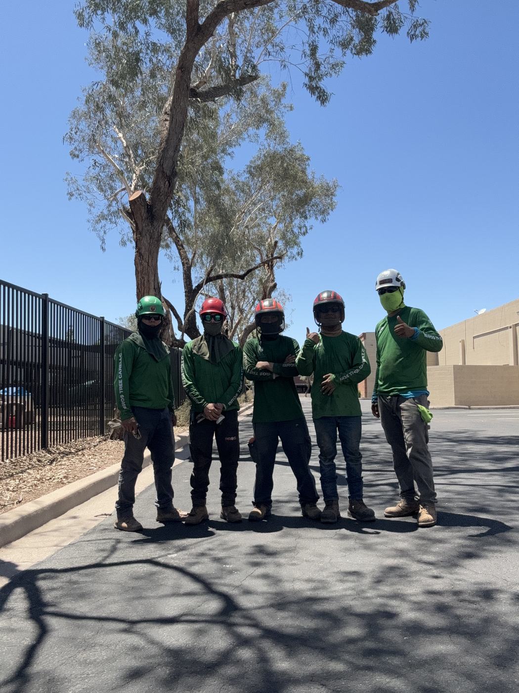 The Bros Tree Care crew in green shirts and helmets after a job in Phoenix