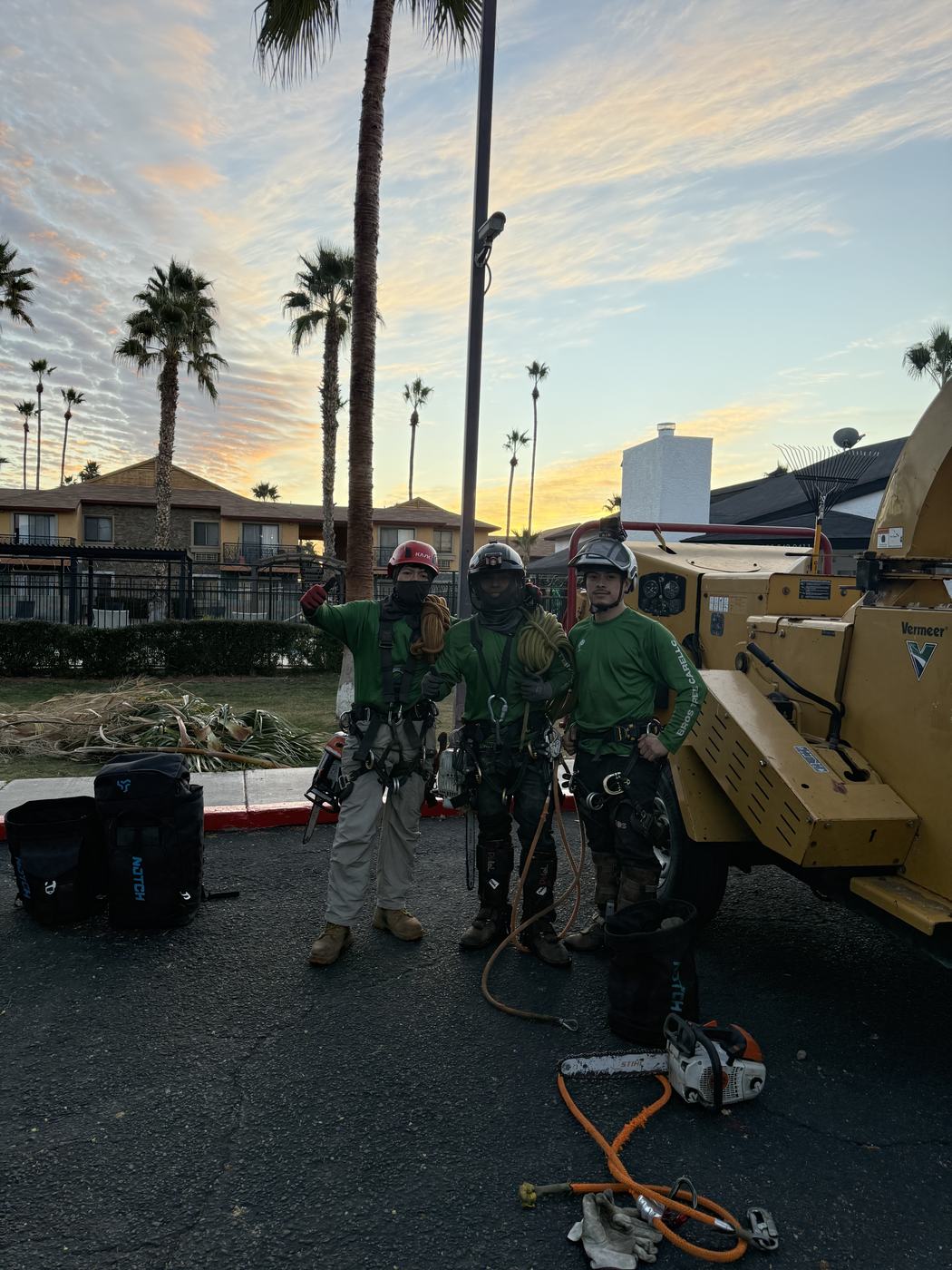 Bros Tree Care crew gearing up beside the chip truck at sunrise in Phoenix