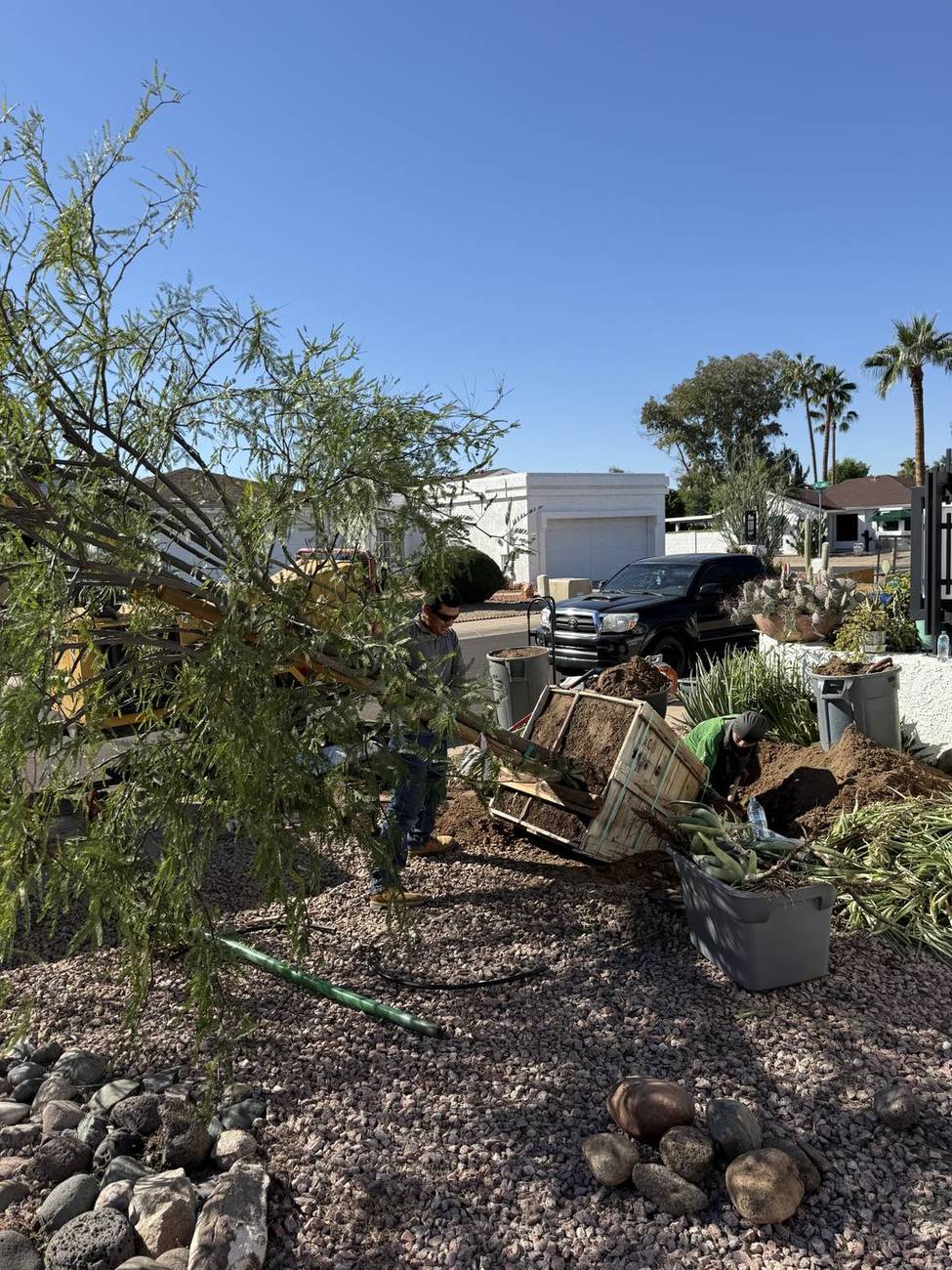 Bros Tree Care crew stacking cut logs after a large tree job on a Queen Creek property